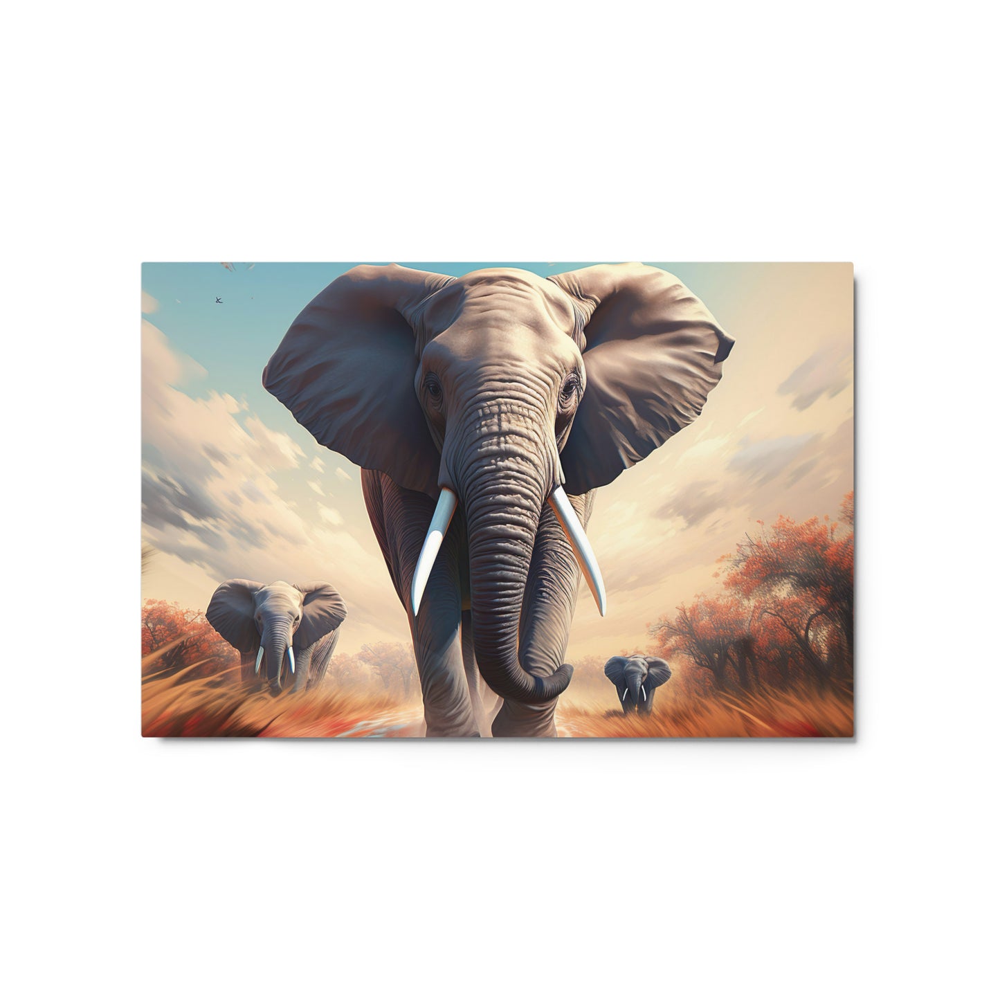 Metal prints: An Elephant Mother Walk